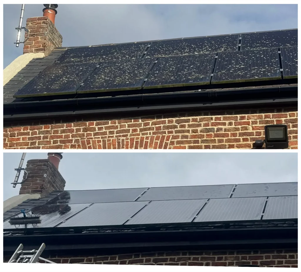domestic clean before and after